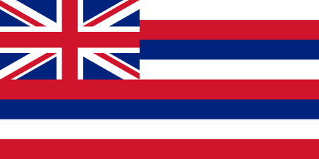 hawaii flag graphic