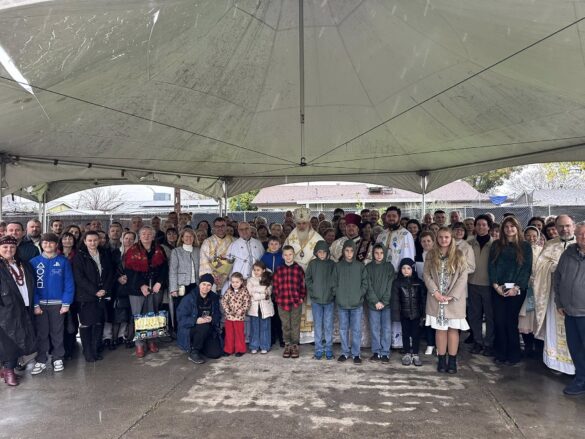 611245249_4388050841427661_4749546922226846337_n